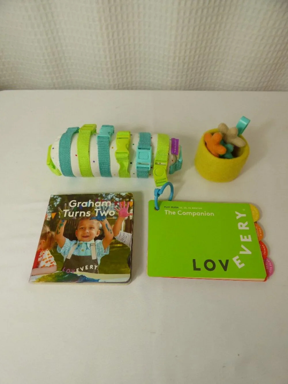 Lovevery Toys from The Companion Play Kit, Months 22-24+